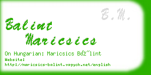 balint maricsics business card